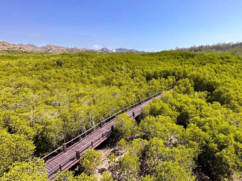 Pran Buri Forest Park: naturaleza intacta en Tailandia